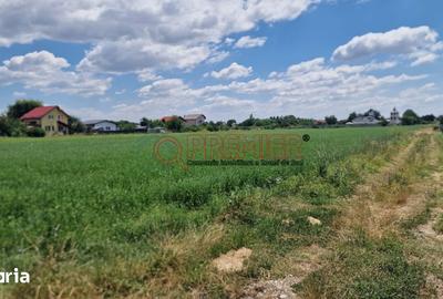 Teren de 9470 mp, în Bolintin-Deal - 5