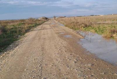 Teren de 20000 mp, în Apateu - 2