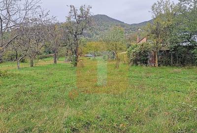 Teren intravilan de vânzare – 1.350 mp – Comuna Alexandru cel Bun - 4