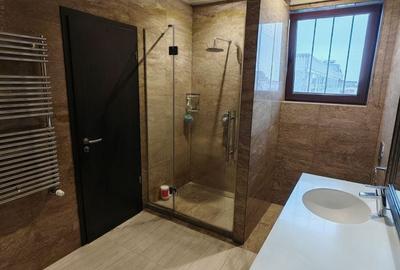 Apartament cu 3 camere decomandat, mobilat în Herăstrău - 17