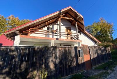 Sacele, casa, teren 1550 mp, 150000 euro - 1