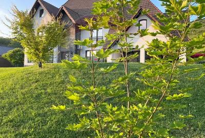 Casa de vanzare in Transilvania - 2