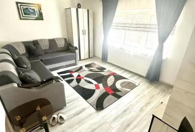 Apartament cu 2 camere decomandat, mobilat în Noua - 7