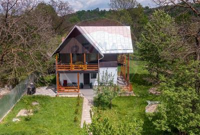 Vanzare vila, Stefesti-Prahova - 39