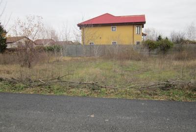 Teren Construcții intravilan de 589 mp, în Domnești - 4