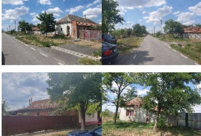 Casă cu 2 camere cu Teren 2877 Mp în Livezile - 2