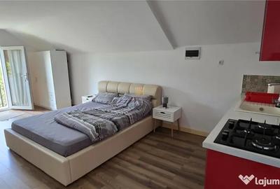 Casă cu 9 camere cu Teren 1845 Mp în Central - 5