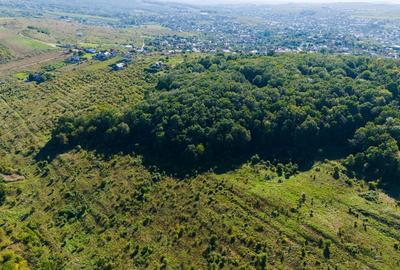 Vanzare Teren Intravilan 11.3 Ha Bucium PUZ+CU valabil Case D+P+E+M - 5