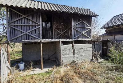 Vand teren cu casa intavilan Curtisoara jud Olt - 8