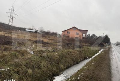 Spațiu comercial, în Priseaca