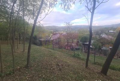 Casă cu 3 camere cu Teren 3410 Mp în Aluniș - 11