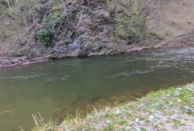 Teren Construcții extravilan de 1297 mp, în Isverna - 1