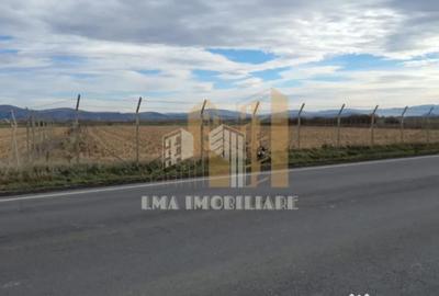 Teren de 14450 mp, în Feldioara - 5