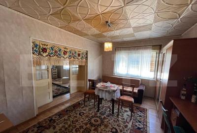 Casa in Pomi cu acoperis nou, Jud. Satu Mare Casa in Pomi cu acoperis nou, Jud. Satu Mare - 16