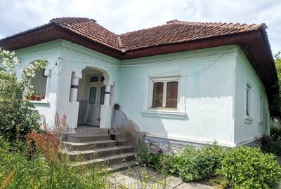 Casă cu 4 camere cu Teren 1300 Mp în Baia de Fier - 8