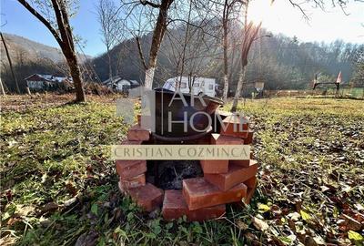 Teren cu constructii Cosmina de Sus - Foisor, baie, cabanuta si umbrar - 8