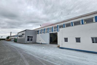 Spațiu comercial, de 26,320 mp, în Negrești-Oaș - 4