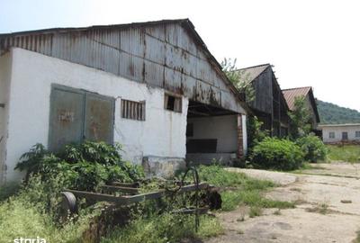 Spațiu comercial, în Șopotu Vechi - 1
