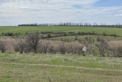 Casă cu 4 camere în Letca Nouă - 5