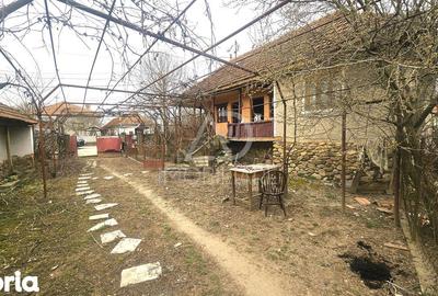 Casă cu 3 camere cu Teren 3019 Mp în Lelești - 1