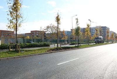 3 CAMERE LA PARTER CU CURTE PROPRIE DE 57MP,  2 BAI, POZITIE PE SUD, COMISION 0% - 54