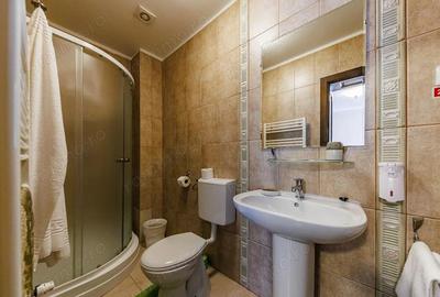 Casă cu 12 camere cu Teren 5028 Mp în Poiana - 10