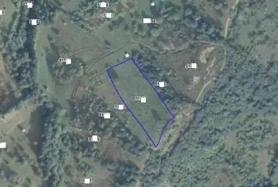 Teren de 6311 mp, în Rona de Sus - 3