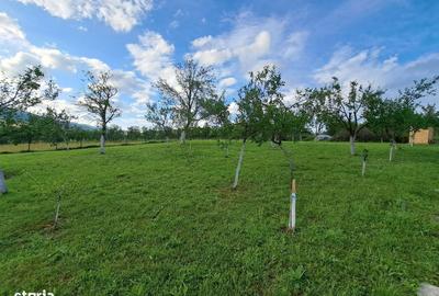 Spațiu comercial, în Benic - 3