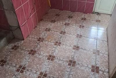 Casă cu 3 camere cu Canalizare în Cișmigiu - 7