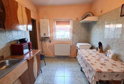 Casa individuala Dascalu, Ilfov, teren in concesiune 941 ... - 6