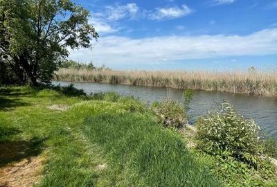 Teren de 850 mp, în Gruiu - 4