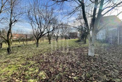 Teren intravilan 1.915 mp + cabană din lemn | Tocile – Sadu - 3