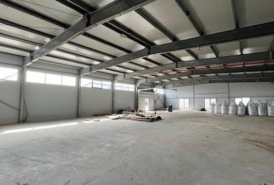 Spațiu industrial, în Moara Vlăsiei - 3