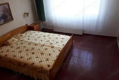 Apartament de inchiriat cu 2 camere in zona Buziasului - 2