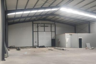 2 hale noi 2025 Afumati- Moara Domneasca - 2