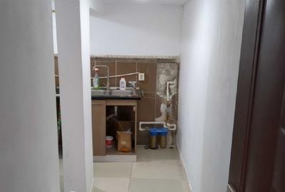 Colentina Parcul Plumbuita, Sector 2 București. - 4