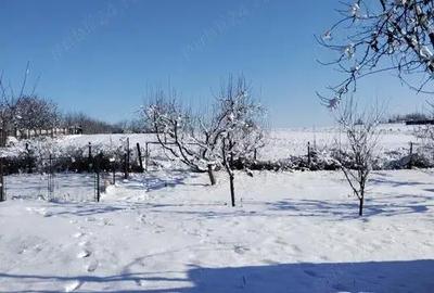 Casă cu Teren 5800 Mp în Călinești (Bucecea) - 6