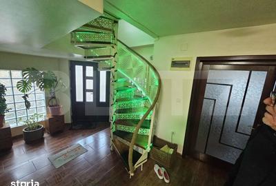 Casă cu 5 camere cu Teren 3566 Mp în Rebrișoara - 13