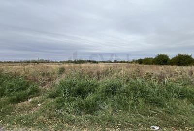 Teren Construcții intravilan de 46495 mp, în Industrială - 2