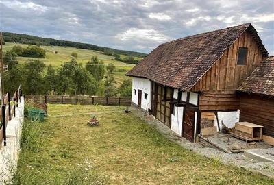 Casa de vanzare si cafenea in stil rustic - 3