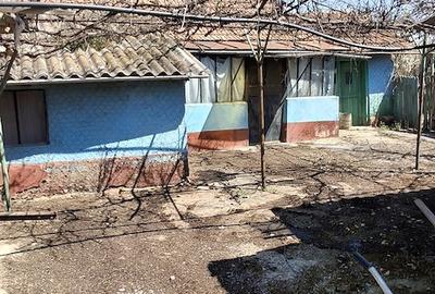 Casă cu Teren 1506 Mp în Brădeanu - 6