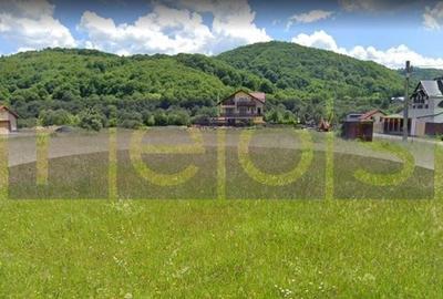 VANZRE-TEREN  - INTRAVILAN 650 mp deschidere 25 mp RASNOV -BRASOV - 5