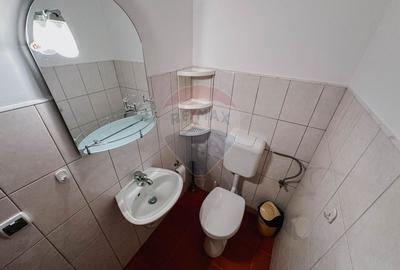 Vila de vanzare cu potential turistic - Valea Mare Pravat - 13