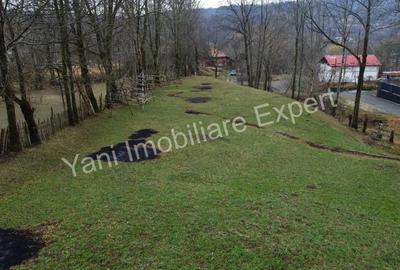 Teren de 2800 mp, în Arefu - 11