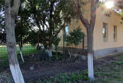 Casă cu 6 camere cu Teren 1400 Mp în Checea - 8