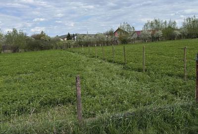 Teren de 700 mp, în Săucești - 6