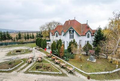 FILM! Potential Imobiliar remarcabil, recomandat domeniului Petrolier & HoReCa,