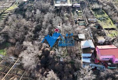 Teren intravilan BIDIDIA, zona deosebita, 550MP - 7