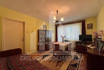Apartament cu 2 camere semidecomandat, mobilat în Cetate