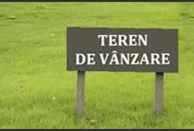 TEREN SENDRENI- CARTIER NOU - 1